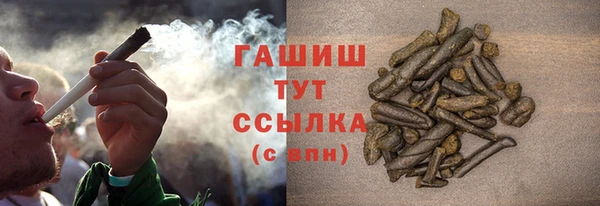 молекула духа Няндома